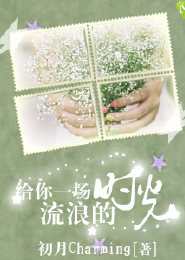 给你一场流浪的时光