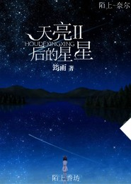 天亮后的星星II