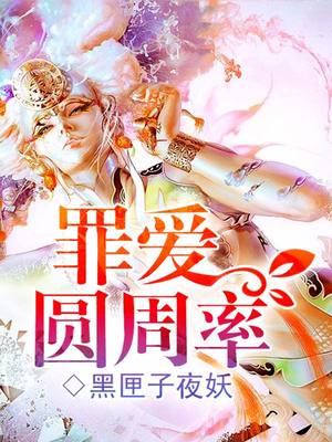 罪爱圆周率