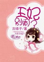 王妃，别闹了