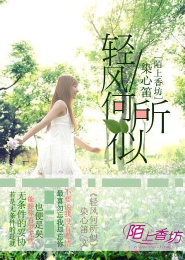 轻风何所似