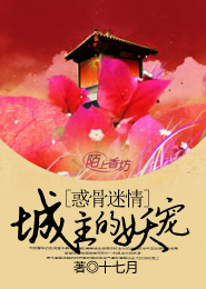 倾心计，城主的妖宠