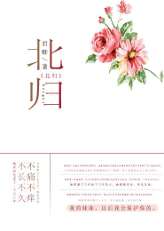 北城旧事：星辰微渺人不归