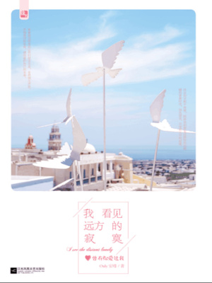 我看见远方的寂寞