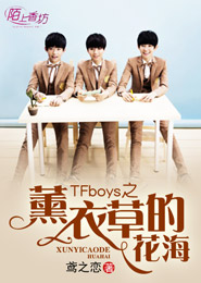 TFboys之薰衣草的花海