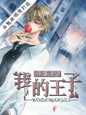 贵族禁区：我的王子