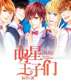 我的明星王子们
