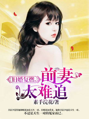 旧婚复燃，前妻太难追
