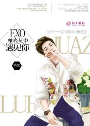 EXO之鹿晗花中遇见你