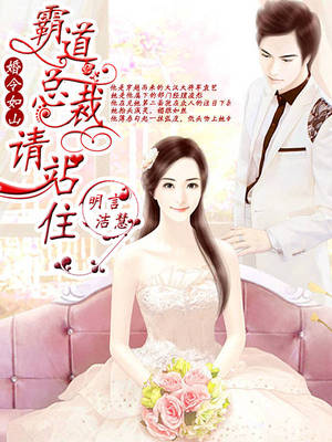 婚令如山，霸道总裁请站住
