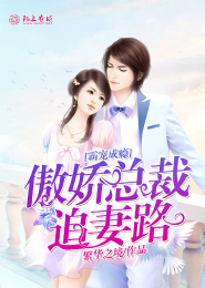 霸宠成瘾，傲娇总裁追妻路