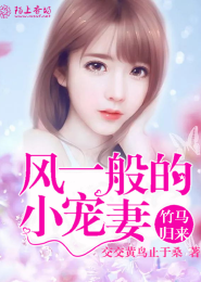 竹马归来：风一般的小宠妻