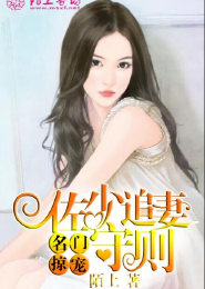 名门掠宠：佐少追妻守则