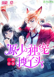 一网情深：王源独宠拽丫头