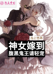 神女嫁到，腹黑鬼王请轻宠