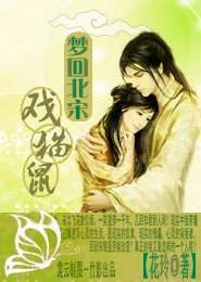 梦回北宋戏猫鼠