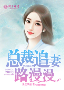 总裁追妻路漫漫