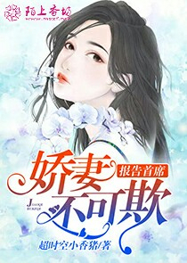 报告首席，娇妻不可欺