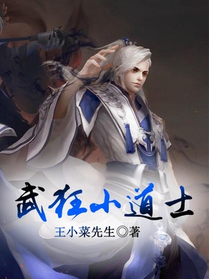 武狂小道士