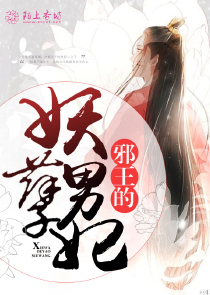邪王的妖孽男妃
