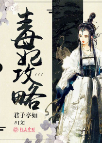 毒妃攻略