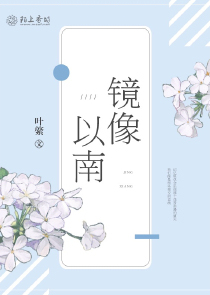 镜像以南