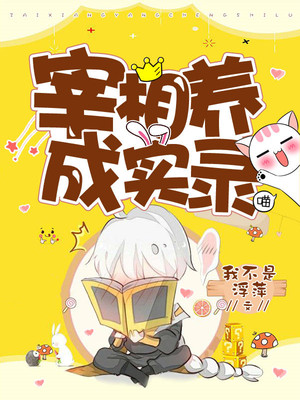 宰相养成实录