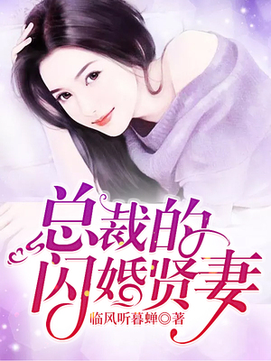 总裁的闪婚贤妻