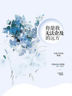 你是我无法企及的远方