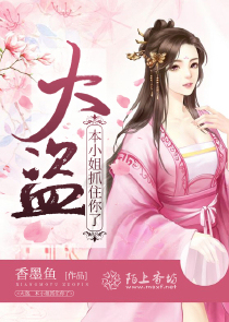 大盗，本小姐抓住你了