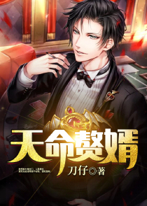 天命赘婿