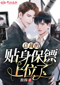 总裁的贴身保镖上位了