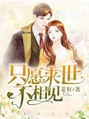 只愿来世不相见