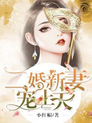 二婚新妻宠上天