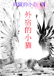 外宿的小猫