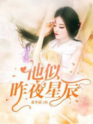 他似昨夜星辰【完本】