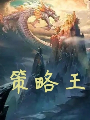 策略王