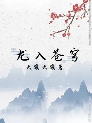 龙入苍穹