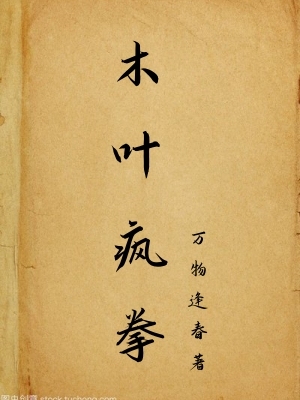 木叶疯拳