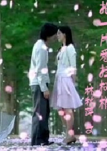 把一片爱挂树梢
