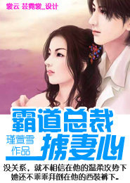 霸道总裁掳妻心