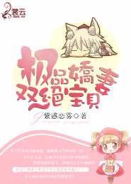 极品娇妻双绝宝贝