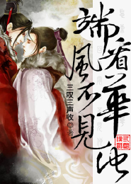 端看风华不见他
