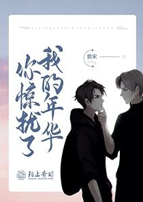 你惊扰了我的年华