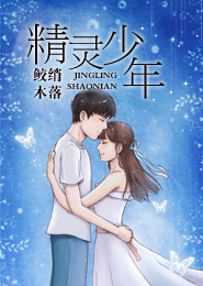 精灵少年